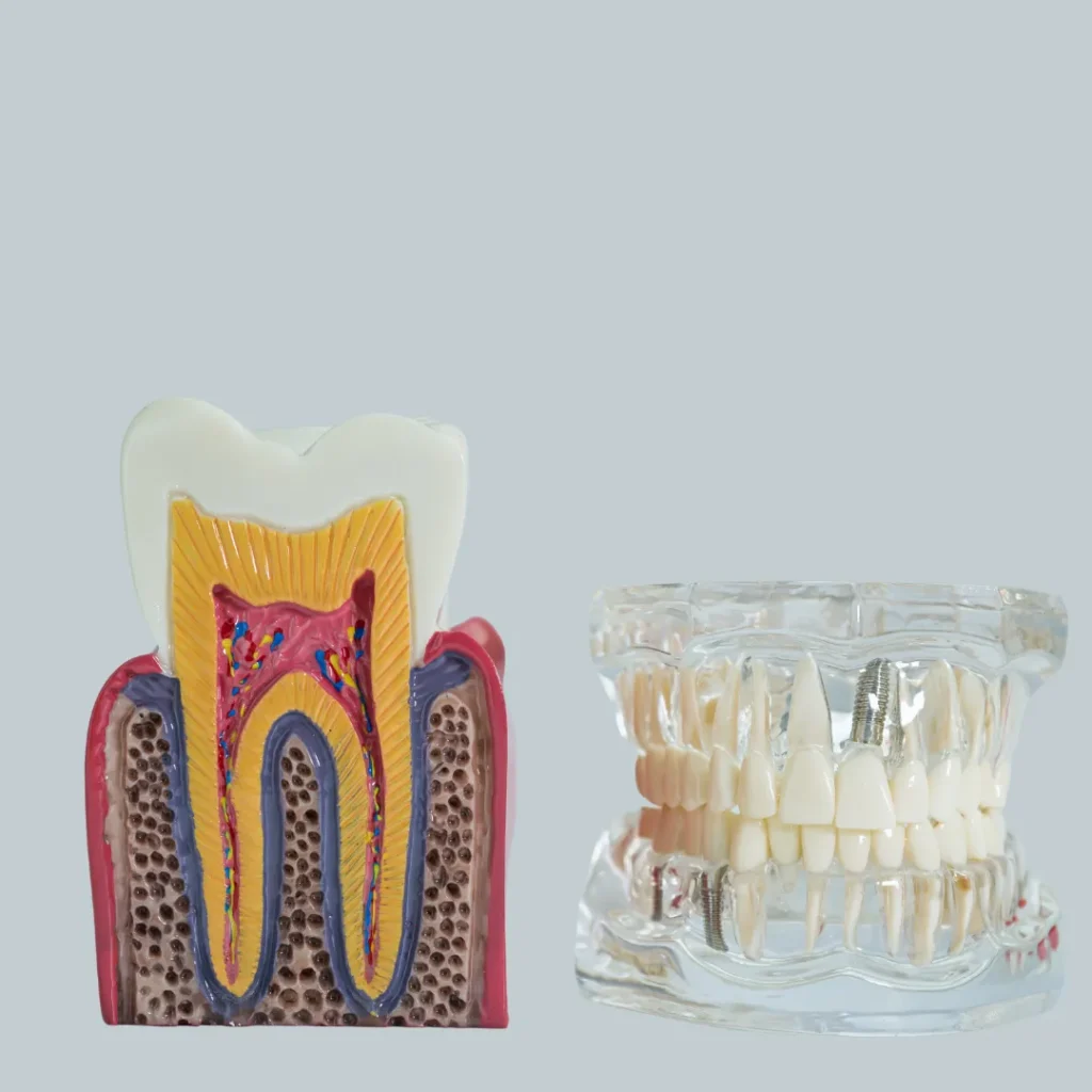 Dental Implants & Restorative Oral Surgery